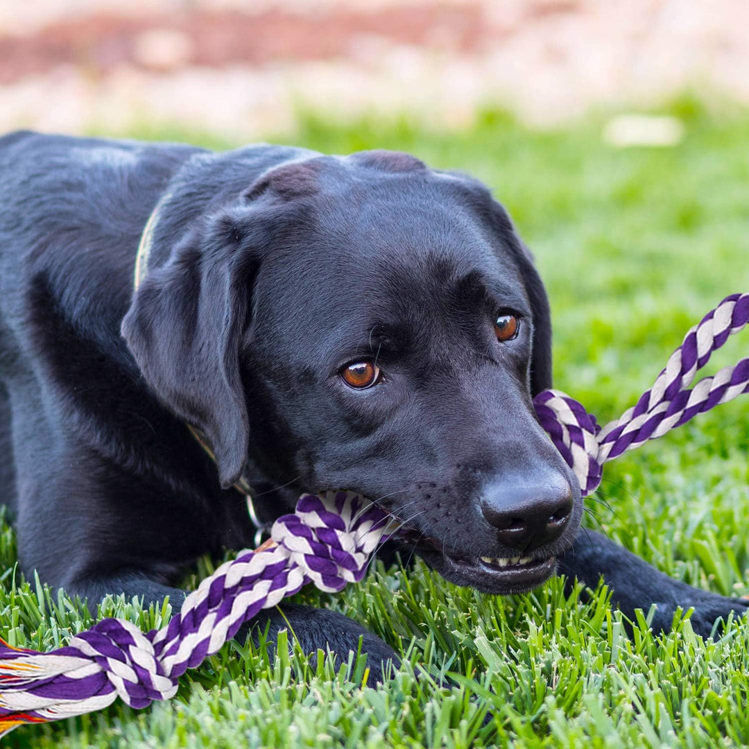 Kauspielzeug für grosse Hunde, grosse Rassen, strapazierfähiges Dental-Seil für mittelgrosse Hunde,