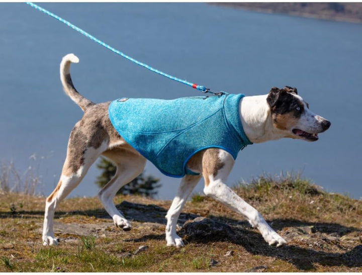 Kurgo Core Hunde-Pullover, Leichtes Fleece, Mit 2-Wege-Reissverschluss, Mit Hundegeschirr kompatibel