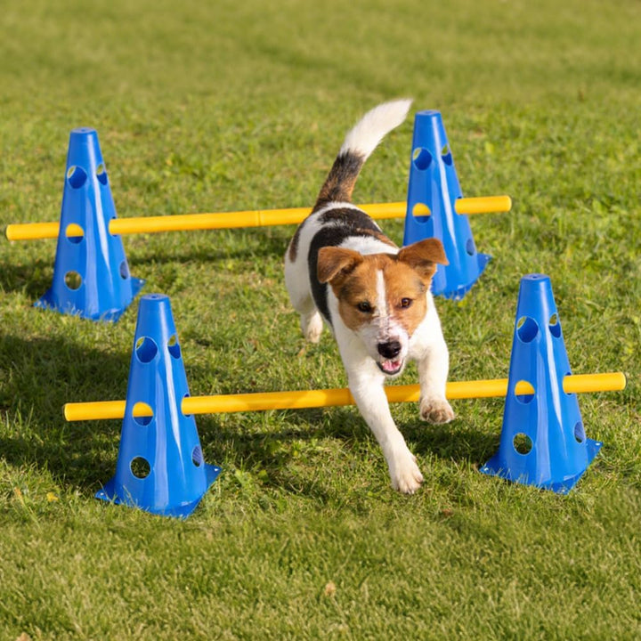 Hobby Horse Hindernisse, Agility Set Hunde, 10 Kegel 23cm 5 Stangen 80cm lang, Cavaletti Hund, Einst