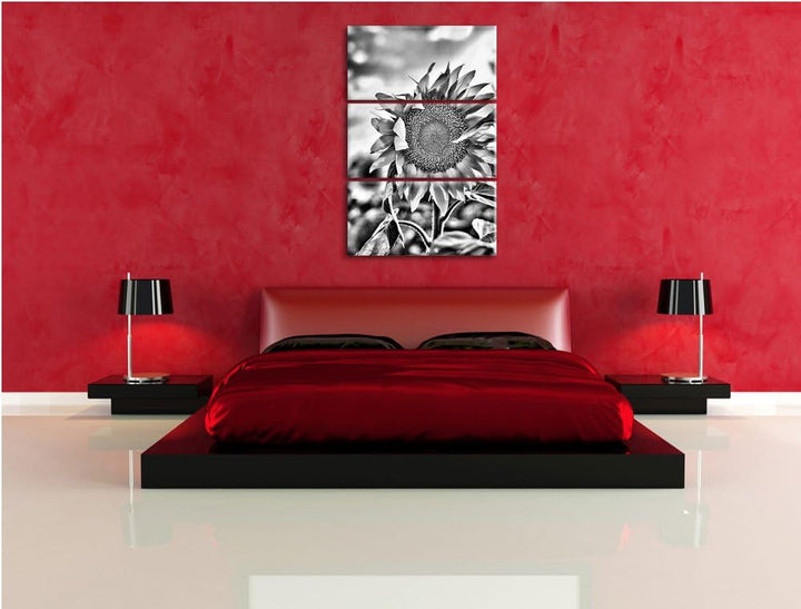 Pixxprint Monocrome, Sonnenblumen Sonnenblumenfeld Sonnenblumenkerne Sonnenschein 3-Teiler Leinwandb