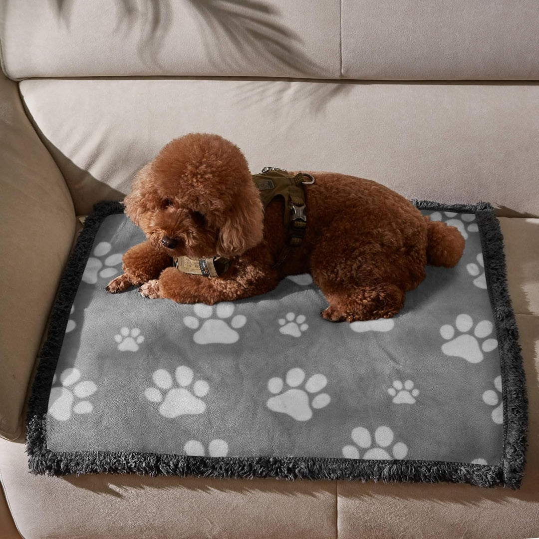 Wasserdicht Hundedecke Katzendecken Waschbar, wasserdichte Decke für Unterwegs Hundesofa Schutzdecke