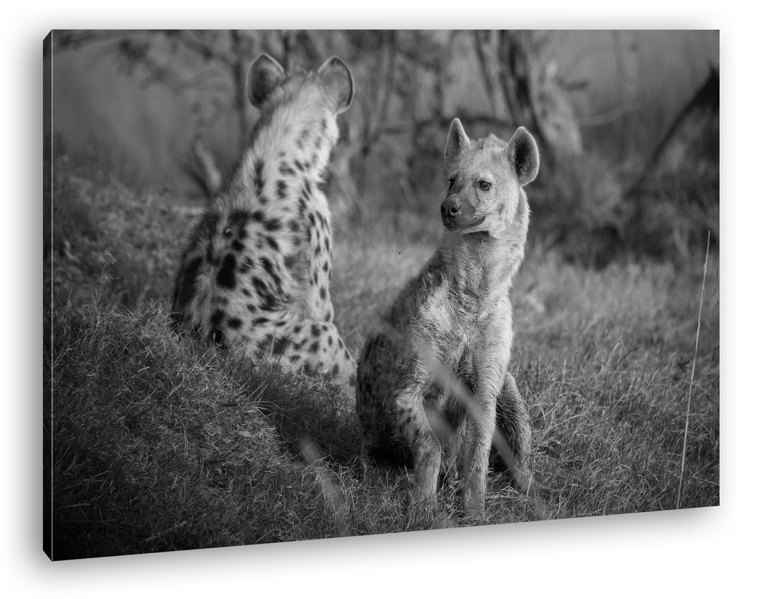 deyoli Hyänen in Afrika Effekt: Schwarz/Weiss Format: 60x40 als Leinwandbild, Motiv fertig gerahmt a
