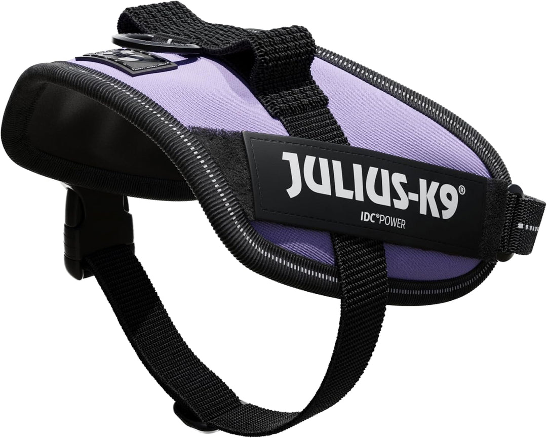 IDC Powergeschirr, Grösse: XS/Mini-Mini, Violett Violett XS/Mini-Mini, Violett XS/Mini-Mini