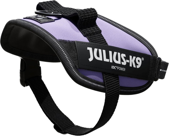 IDC Powergeschirr, Grösse: XS/Mini-Mini, Violett Violett XS/Mini-Mini, Violett XS/Mini-Mini