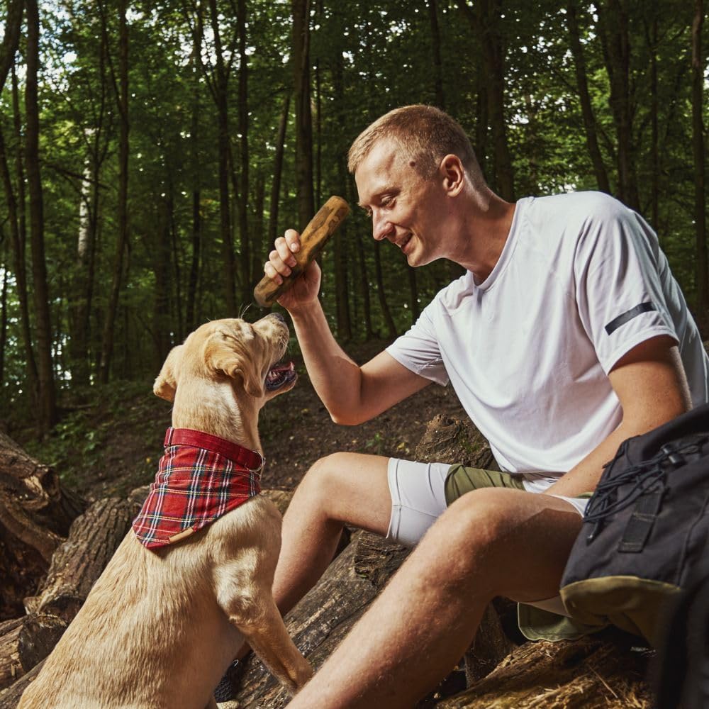Wildfang® Olivenholz Kauholz für Hunde | Holzknochen Olivenholz | natürliches Kauspielzeug aus Olive
