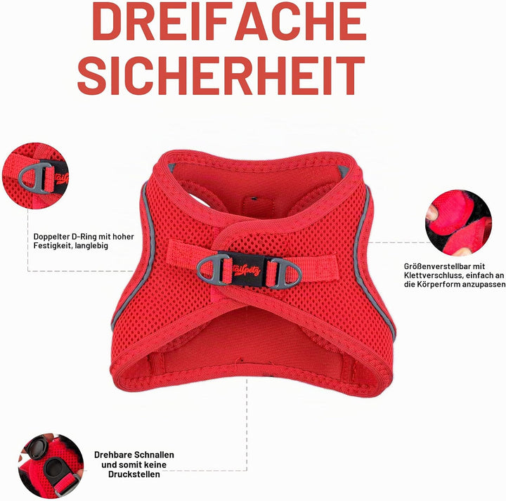 Air-Mesh Brustgeschirr für kleine und mittelgrosse Katzen und Hunde – Weich, Atmungsaktiv, Strapazie