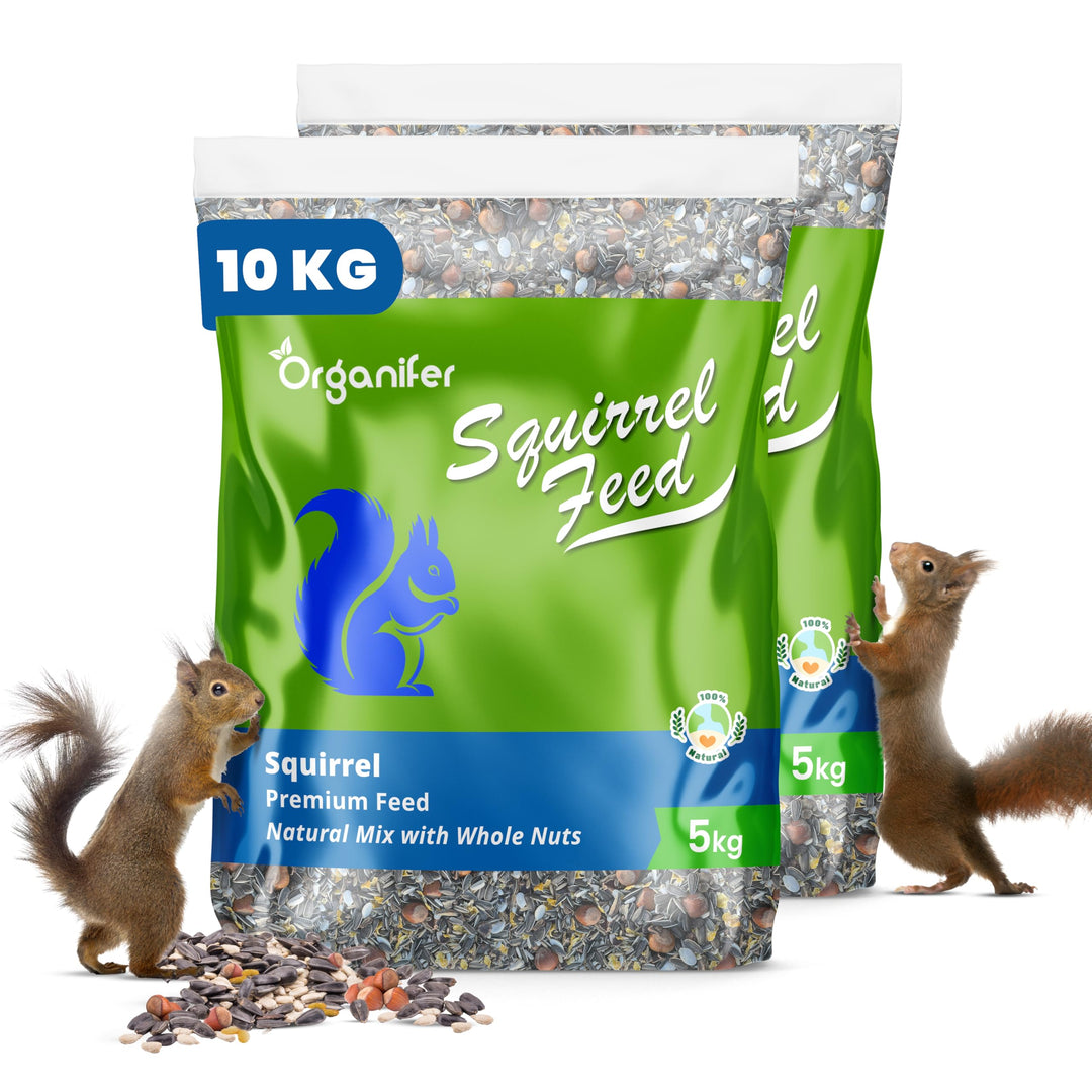 Eichhörnchenfutter - Natürliche Mischung Mit Ganzen Nüssen (10 Kg) - Speziell Für Eichhörnchen, Reic