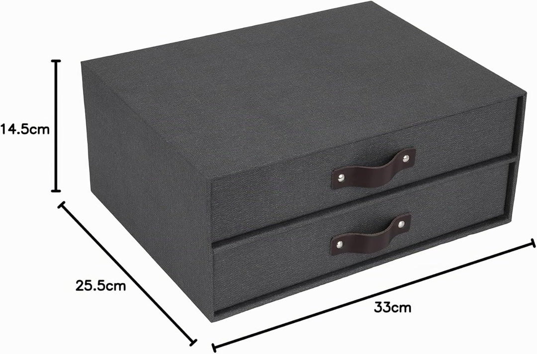 BIGSO BIRGER Schubladenbox – Aufbewahrungsbox mit 2 Schubladen – Schreibtisch Ablage für Dokumente &