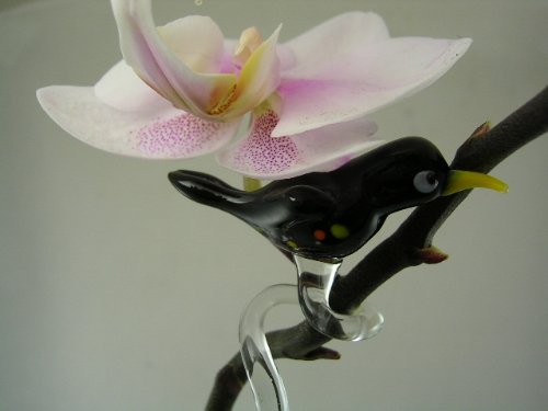 basticks Orchideenstab Amsel Schwarz - Blumenstab mit Vogel Figur aus Glas - Rankhilfe Deko Orchidee