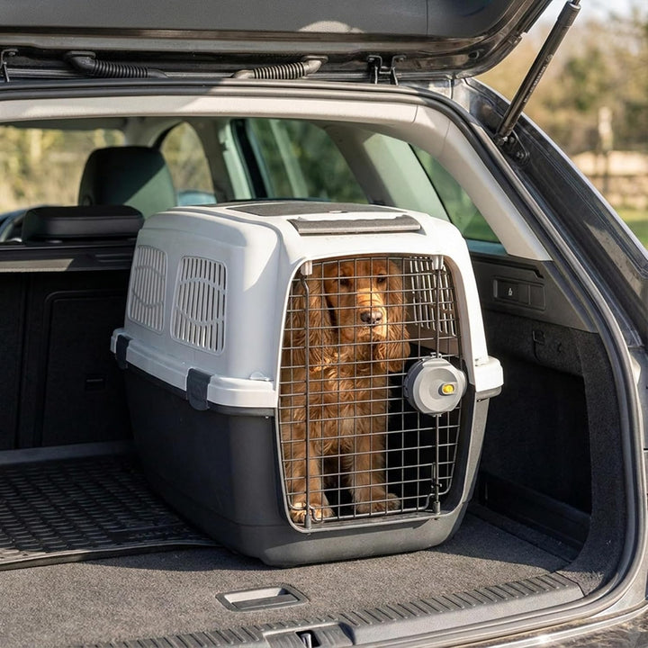 Ferplast Hundetransportbox CLIPPER PLUS, IATA-geeignet, Mittlere Hundetransportbox bis 20 kg, Sicher
