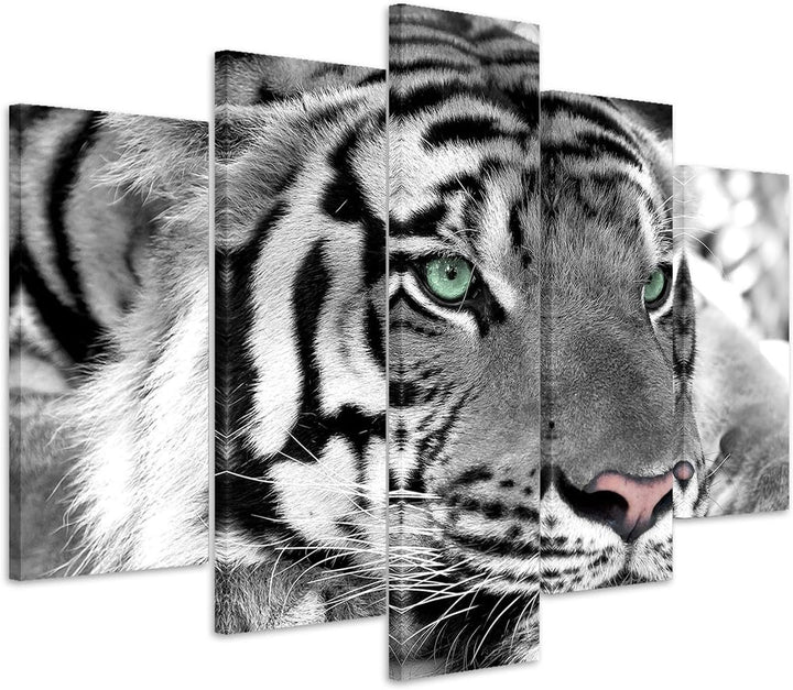 Sinus Art Leinwandbild 150x100cm Künstlerische Fotografie – Weisser Tiger mit grünen Augen 5 teilig