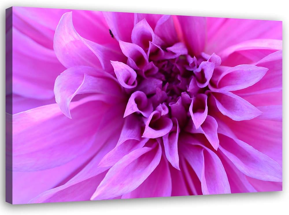 Leinwandbild XXL Blume Wandbild Kunst Natur Violett 120x80 cm Leinwandbild 120x80 cm Violett_A, Lein