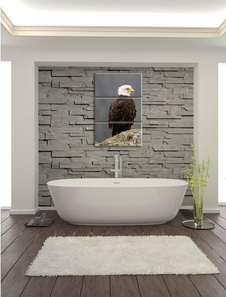 Pixxprint wachsamer Adler auf Fels als Leinwandbild/Grösse: 3 Teilig (120x80) cm/Wandbild/Kunstdruck