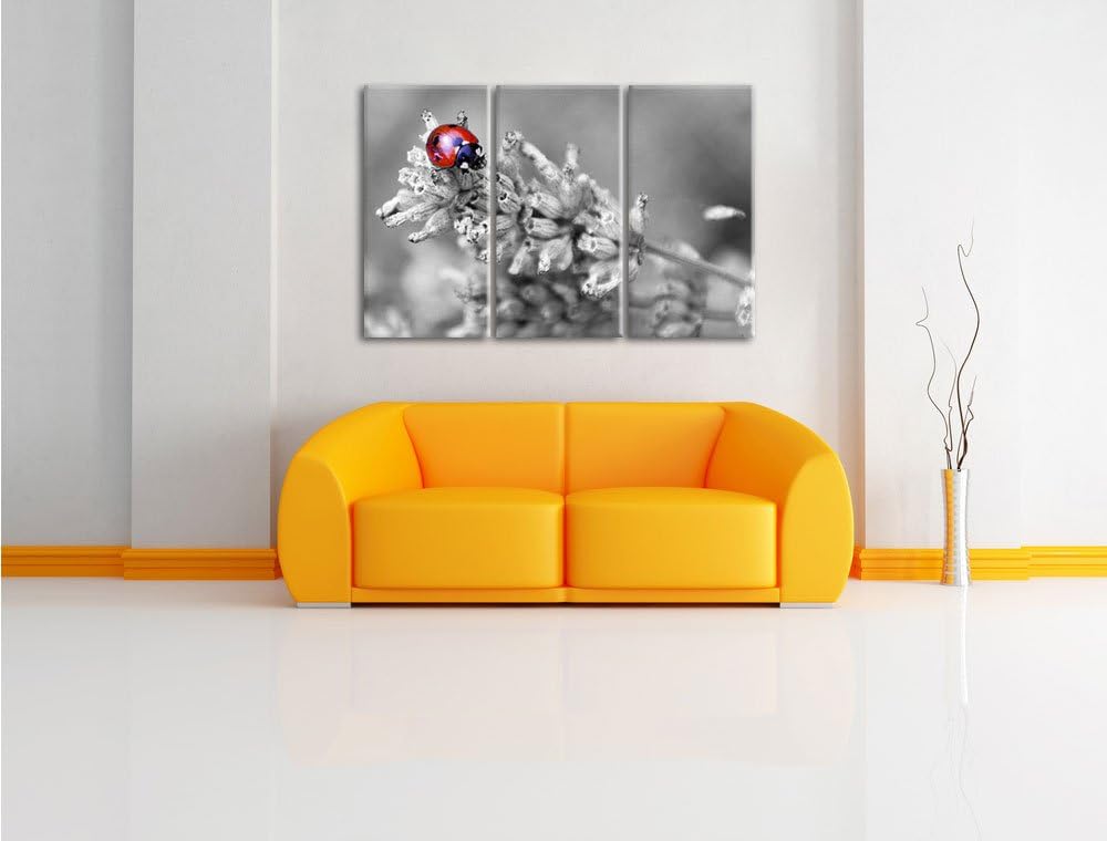 Pixxprint Kleiner Marienkäfer auf Lavendel / 3-Teilig/Gesamtmass 120cm Leinwandbild bespannt auf Hol