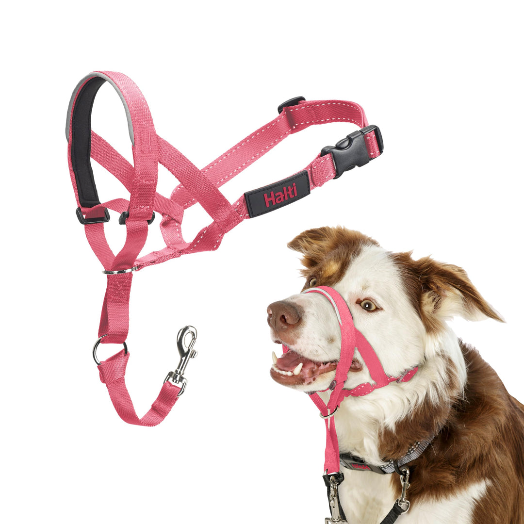 Halti Kopfgeschirr für Hunde | Grösse 2, Rosa Rosa 2, Rosa 2