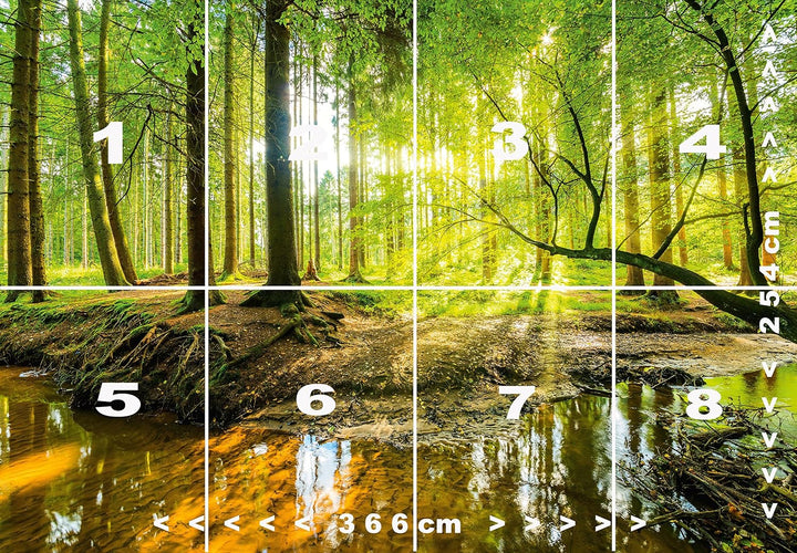 murimage Fototapete Wald 366 x 254 cm inklusive Kleister Bäume Holz Sonne Natur Schlafzimmer Wohnzim