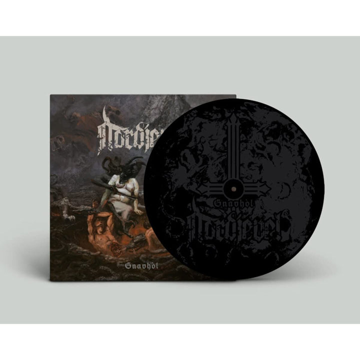Gnavhòl, Vinyl