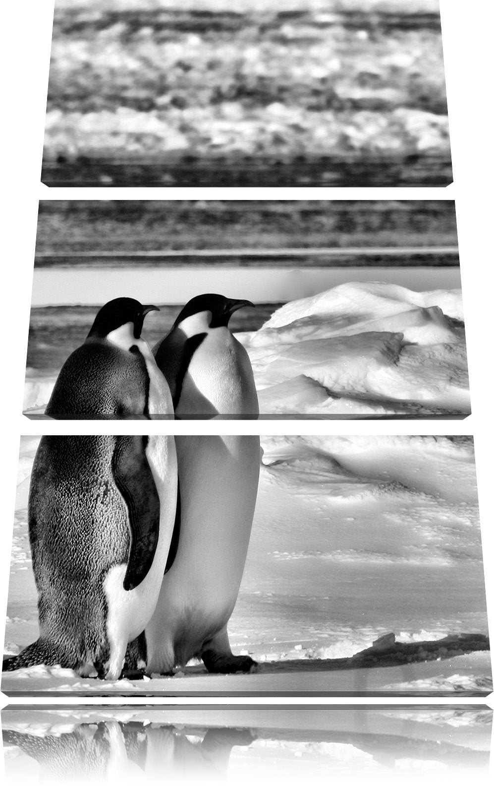 Pixxprint Monocrome, Zwei Kaiserpinguine auf Eisscholle 3-Teiler Leinwandbild 120x80 Bild auf Leinwa