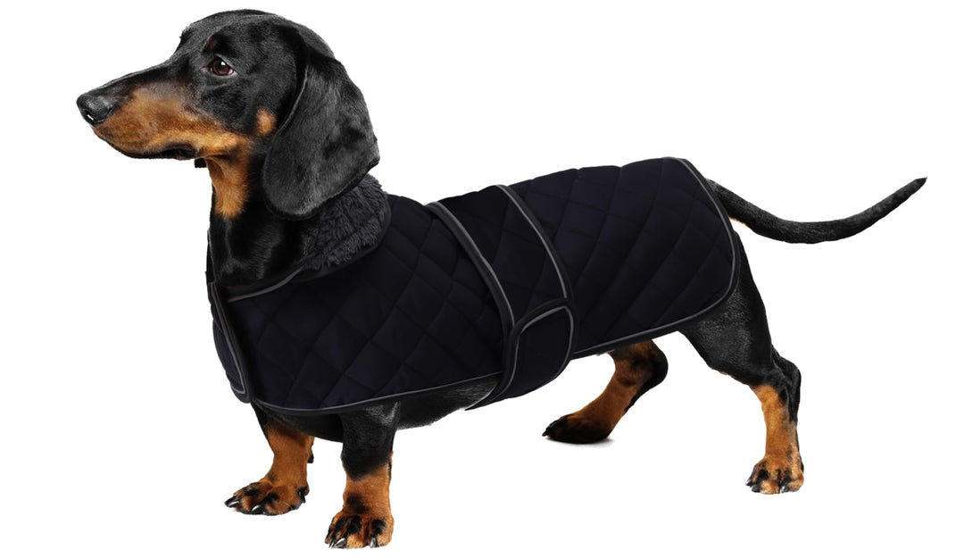 Geyecete - Warmer wintermantel für dackel Hunde,Hunde Winterjacken mit plüschfutter,Outdoor jacken m