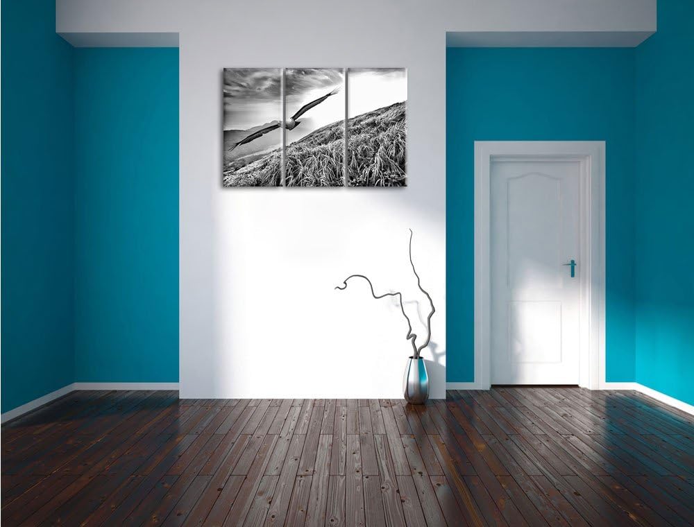 Pixxprint Majestätischer Weisskopfseeadler als Leinwandbild/Grösse: 3 Teilig (120x80) cm/Wandbild/Ku