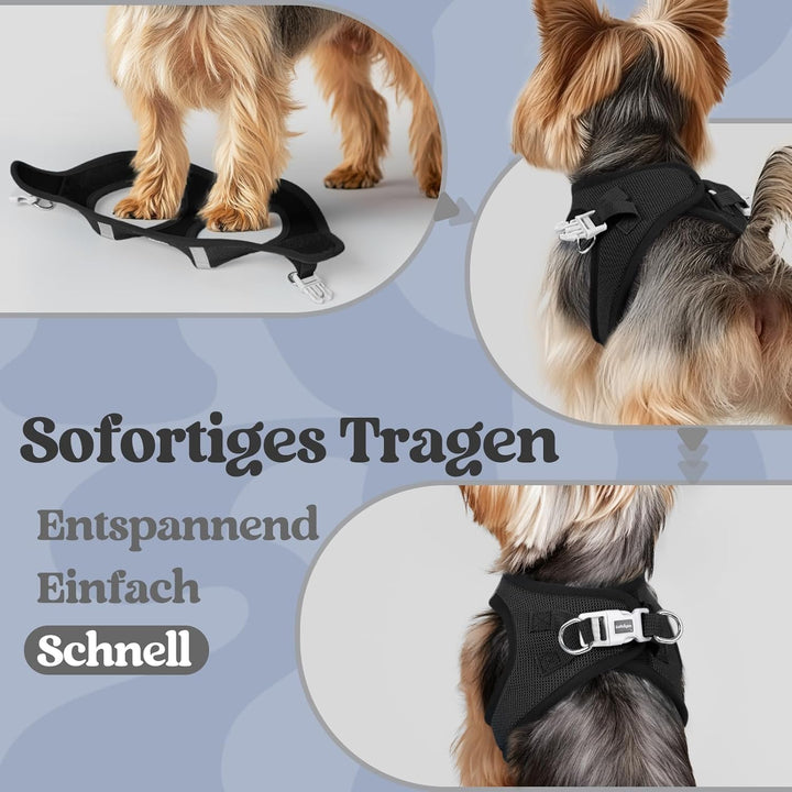 rabbitgoo Hundegeschirr Kleine Hunde, Step-in Welpengeschirr Weich Mesh für Spaziergänge, Atmungsakt