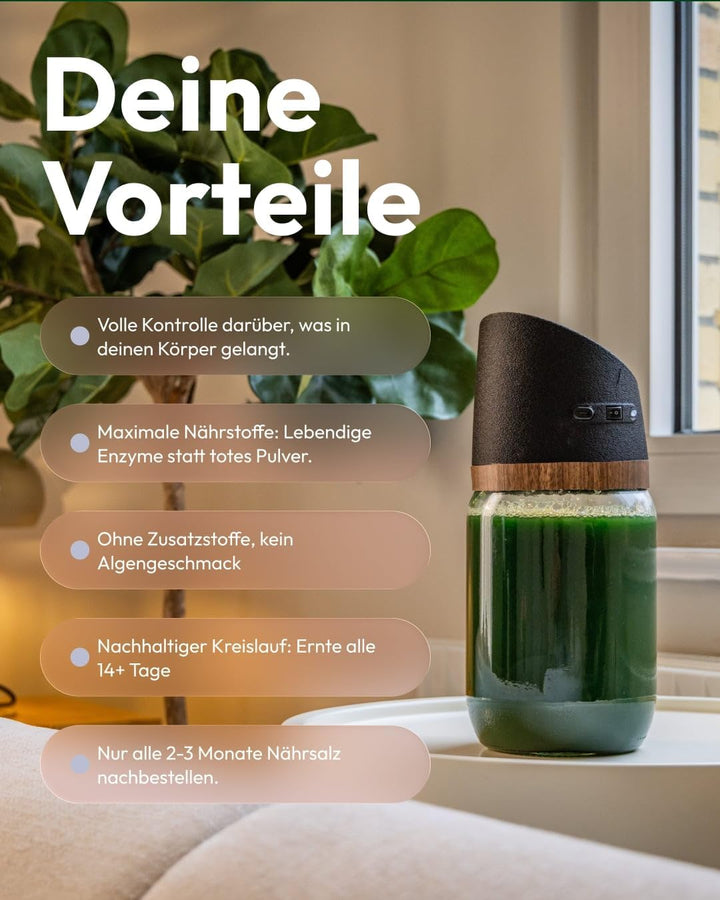 MySpirulina Anzucht-Starterset – Frische Spirulina selbst anbauen, vollautomatisches Home-System für