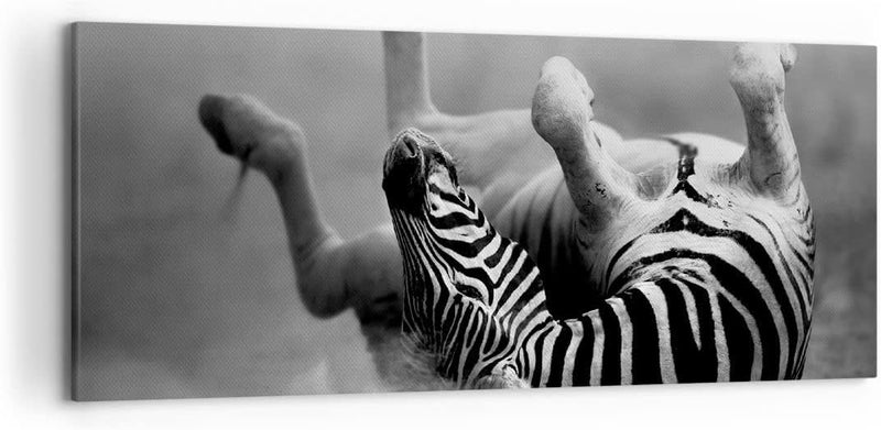 Wandbilder Dekoration Wohnzimmer Zebra Streifen Tier wild Panorama Bilder auf Leinwand 120x50cm Lein