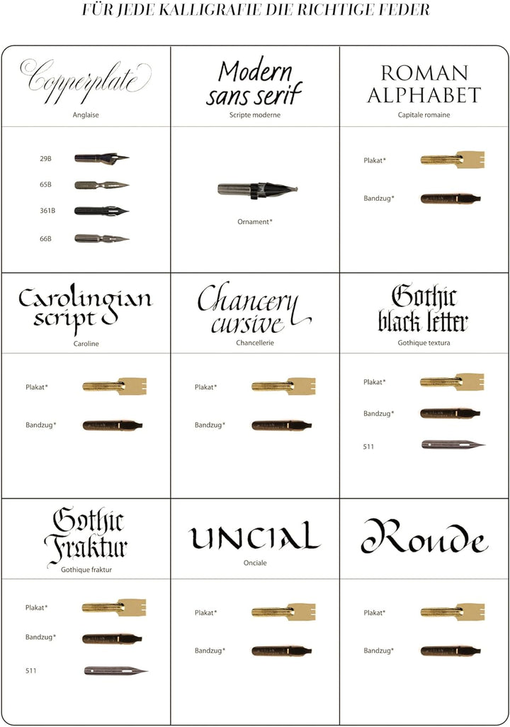 Brause 150361B - Packung mit 15 Stenofedern, für englische Schrift, ideal für Kalligraphie, 1 Box x1