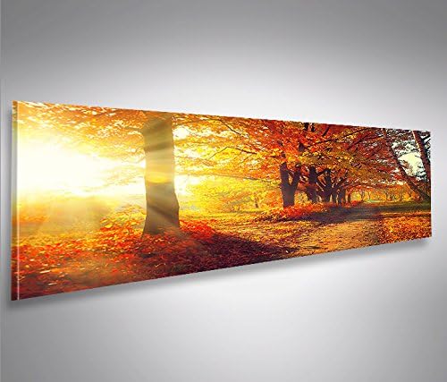 islandburner Bild Bilder auf Leinwand Wald Sonne V2 Panorama XXL Poster Leinwandbild Wandbild Dekoar