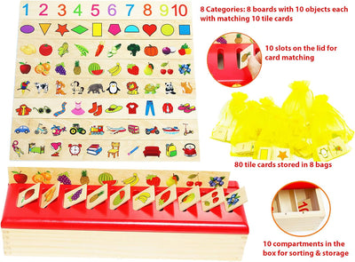 Toys of Wood Oxford Montessori Lernspielzeug - Sortieren, Vergleichen und Lernen - 8 Objektkategorie