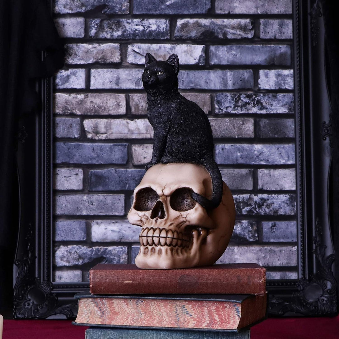 Nemesis Now Familiar Fate Dekofigur Hexen, Katze und Totenkopf, 24,3 cm