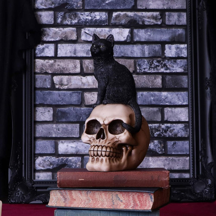 Nemesis Now Familiar Fate Dekofigur Hexen, Katze und Totenkopf, 24,3 cm