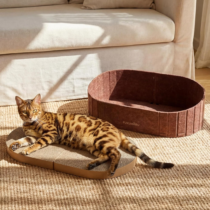 FUKUMARU 2er Set Ersatz-Kratzbrett für Katzen, Kratzpappe 60 x 31 cm (Dicke: 3.5 cm), hochwertige Kr