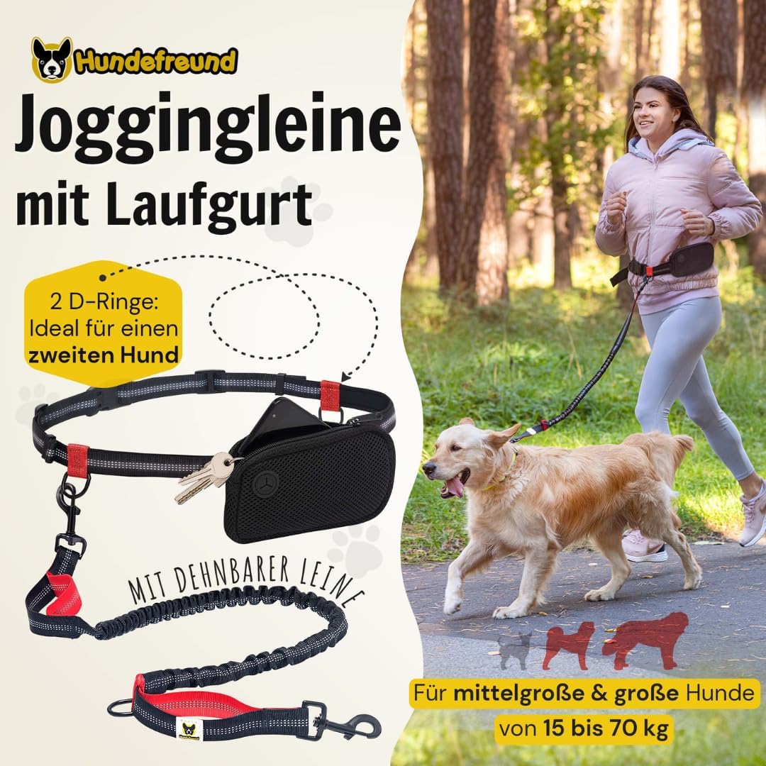 Joggingleine | Premium Hundeleine 120cm Bis 170cm | Elastisch Reflektierend Reissfest Gepolsterter B