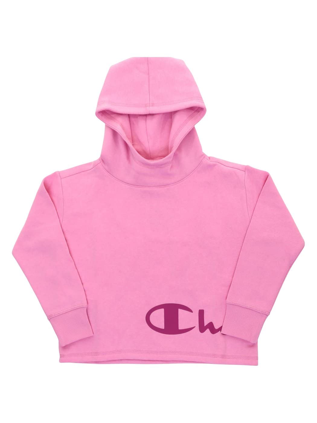 Champion Hooded Sweatshirt Ps009 Fup M, Ps009 Fup M