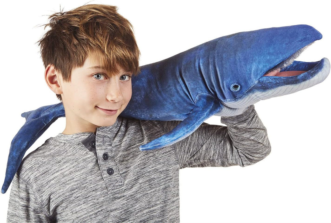 Blauwal/Blue Whale