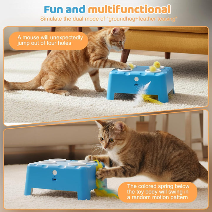 Focenat 2-in-1 Automatisches Katzenspielzeug, Interaktives Katzenspielzeug, Wiederaufladbares Katzen