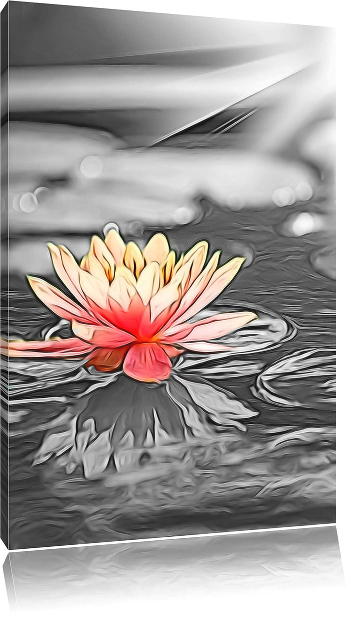 Romantische weisse Seerose, Bild auf Leinwand, XXL riesige Bilder fertig gerahmt mit Keilrahmen, Kun