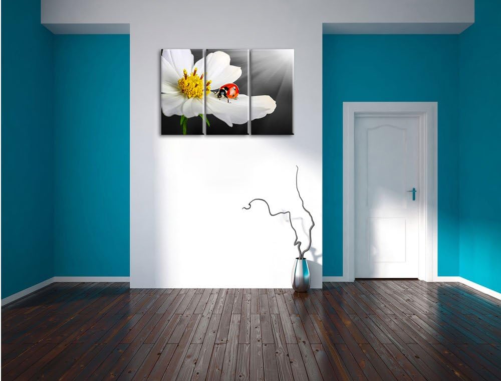 Pixxprint Marienkäfer auf Einer weissen Blume als Leinwandbild/Grösse: 3 Teilig (120x80) cm/Wandbild