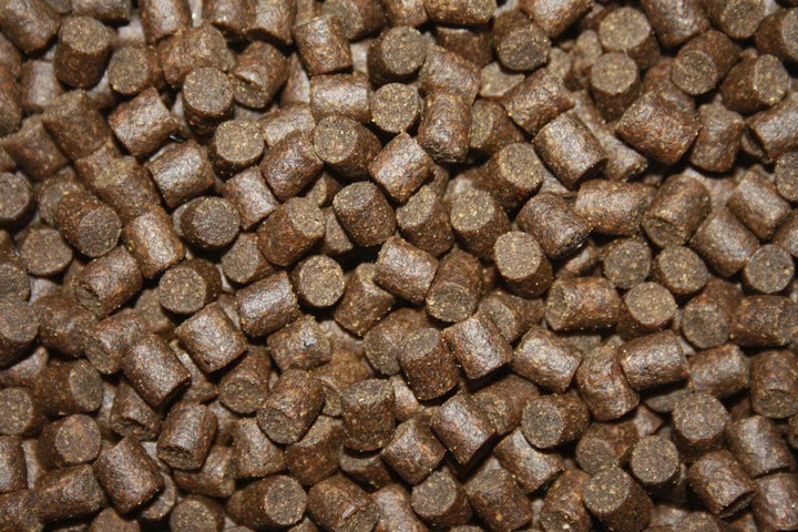 Koifutter Sinkfutter Koi Winterfutter sinkende Koi Pellets kräfteschonend Energiefutter für Koi mit