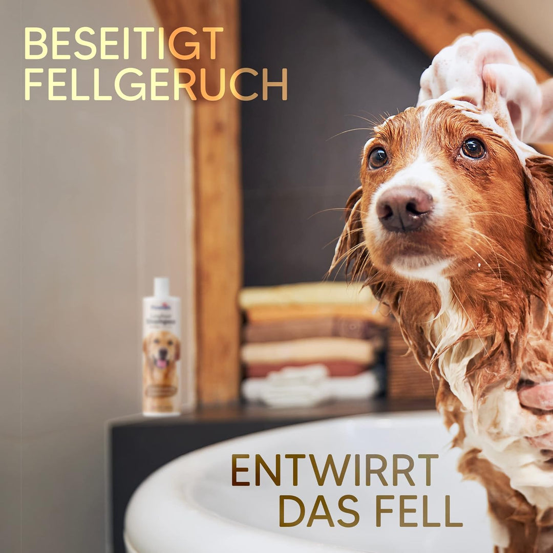 Pawlie's Hundeshampoo Langhaar zur Fellpflege für bessere Kämmbarkeit | Hundeshampoo gegen Geruch mi