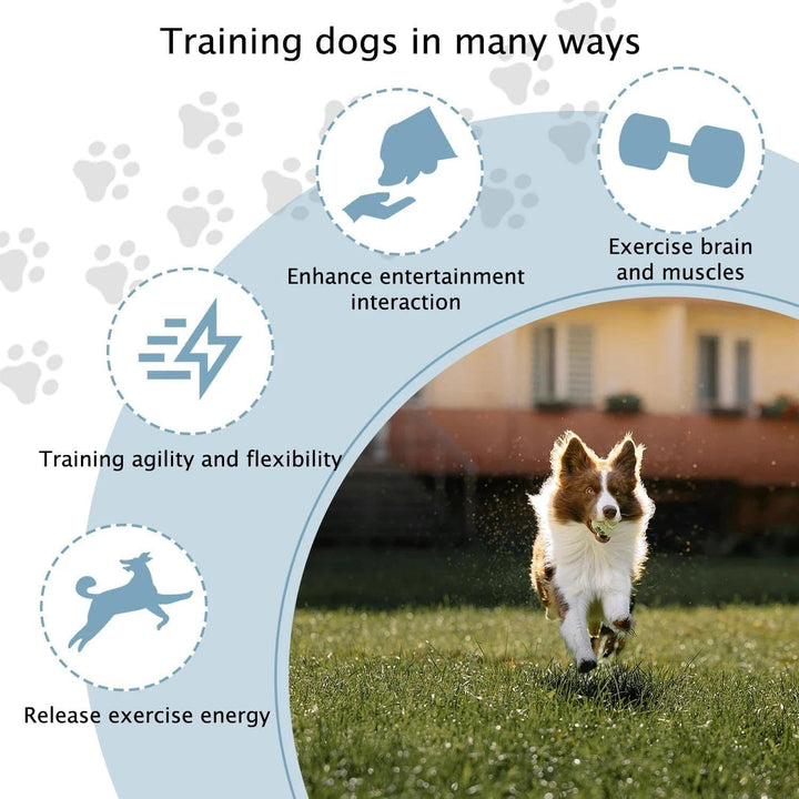 Agility Set Hunde,Steckhürdenset Hund,Hund Hürden,Kinder Agility Hürden Hindernisse für Pferde Hunde