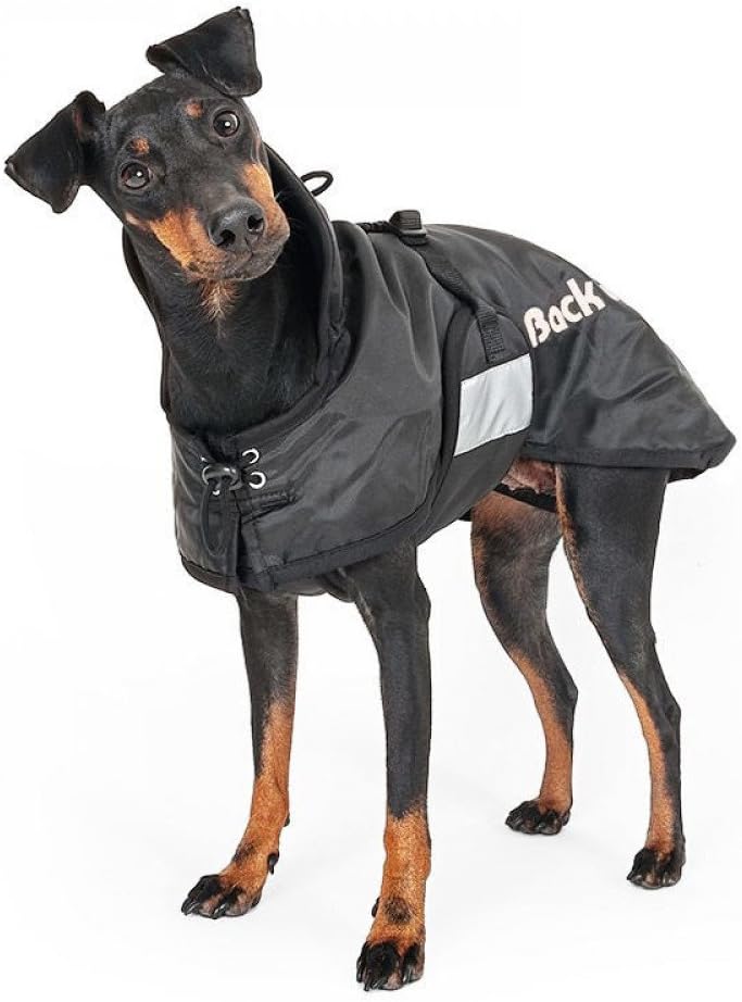 Animo Connect Hundemantel, Standard, Einheitsgrösse