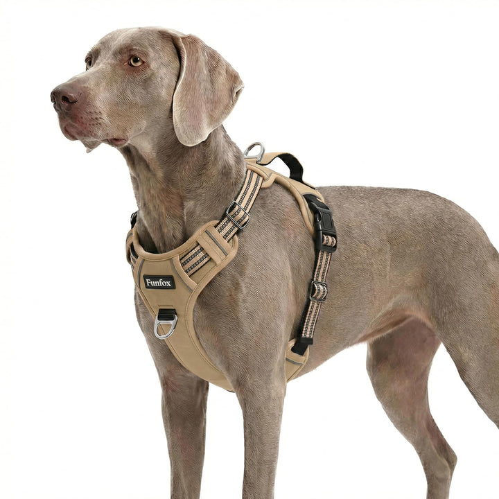 Funfox Hundegeschirr Grosse Hunde [XL] - Verstellbares Anti-Zug Brustgeschirr mit Griff & Reflektors