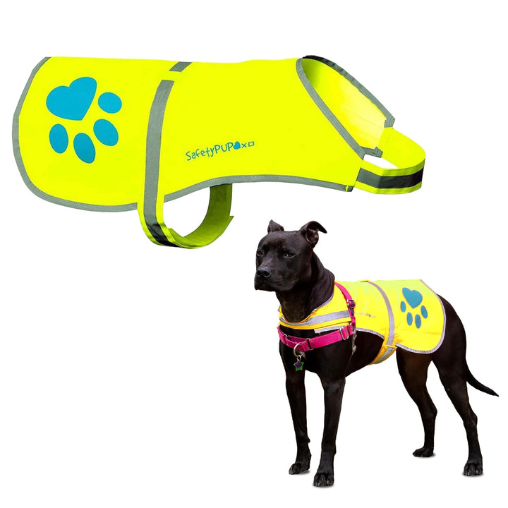 SafetyPUP XD Hund Warnweste, Grössen passen Hunde 14 lbs bis 130 lbs Neon Gelb Mittel Mittel Neon Ge