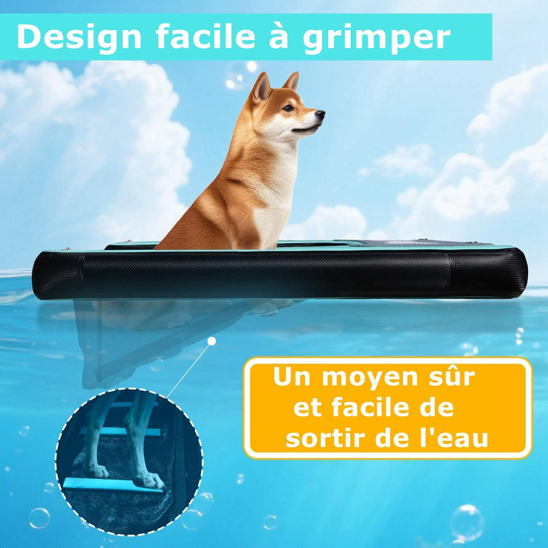 Hunde Wasserrampe Aufblasbare Hunderampe Pool 150x100cm Hundeboot Schwimminsel für Hunde Katzen bis