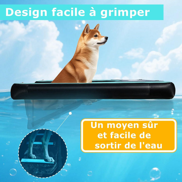 Hunde Wasserrampe Aufblasbare Hunderampe Pool 150x100cm Hundeboot Schwimminsel für Hunde Katzen bis