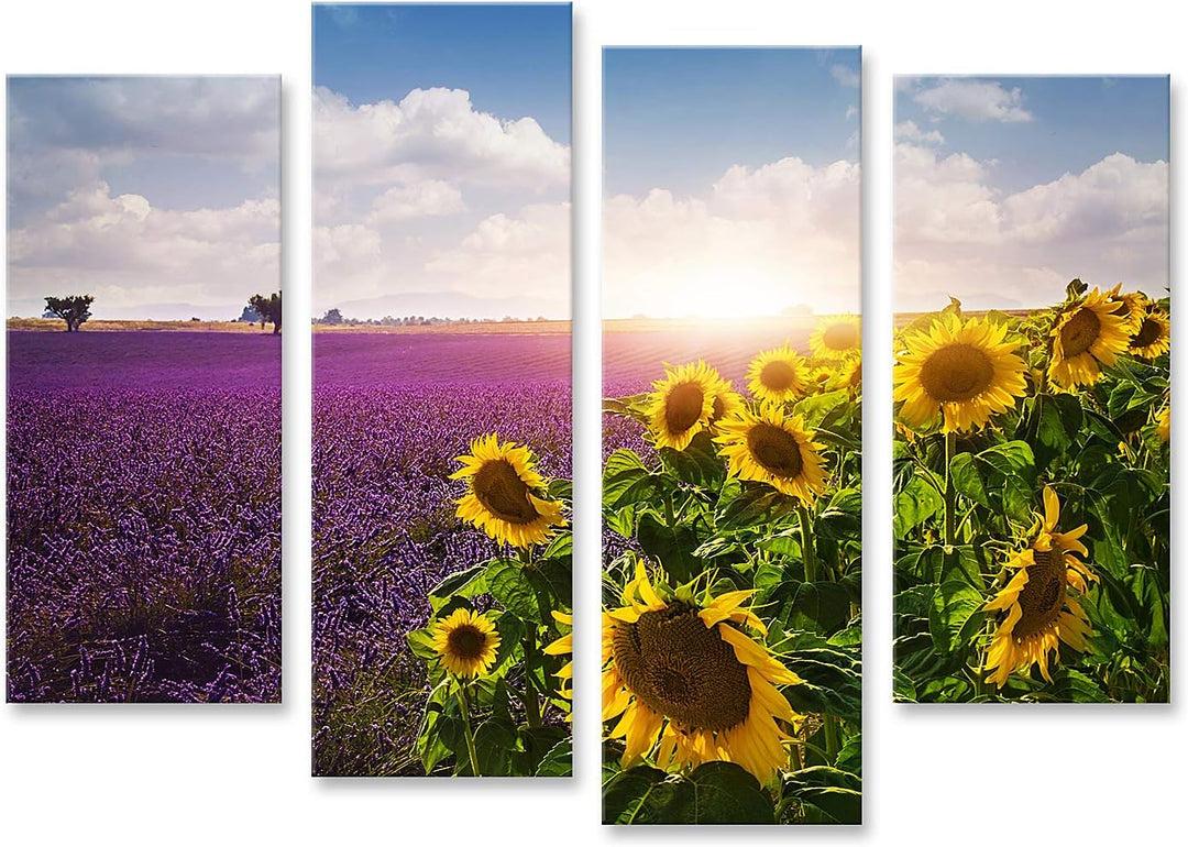 islandburner Bild auf Leinwand Lavendel Und Sonnenblumenfelder In Der Provence Bilder Wandbilder Pos