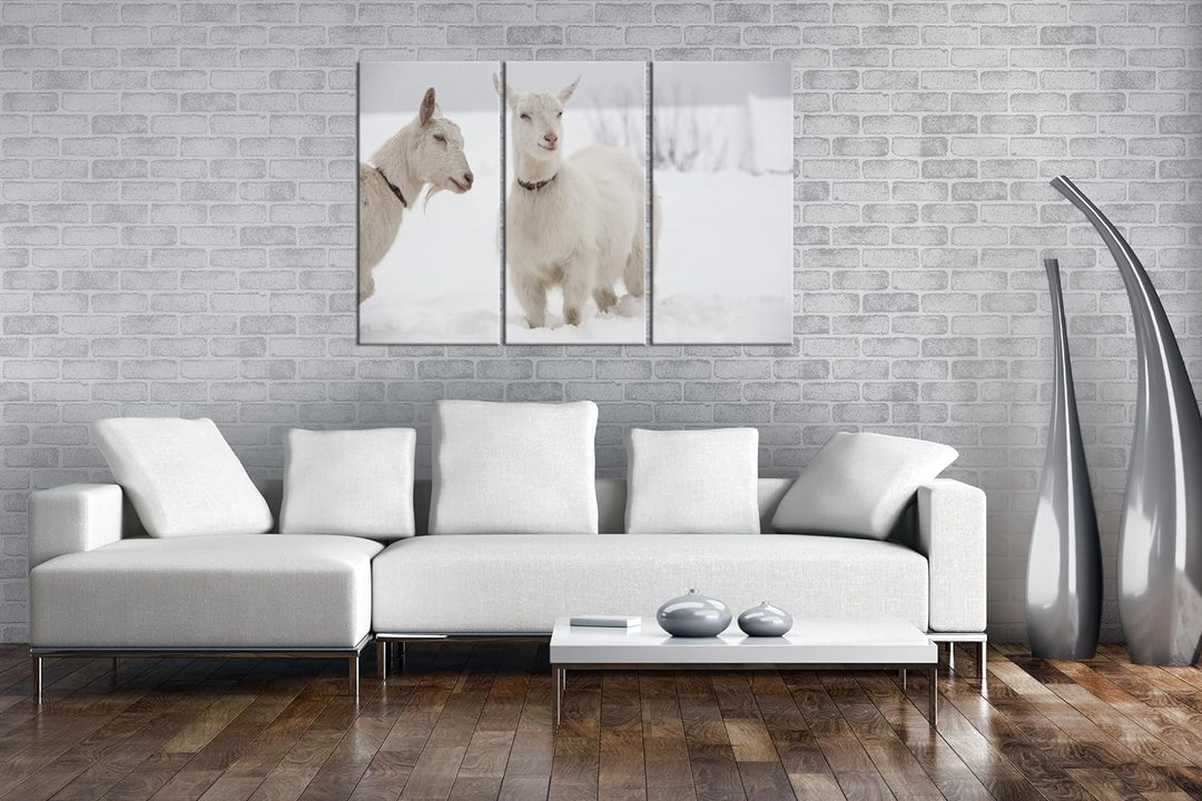 deyoli weisse Ziegen im Schnee Format: 3-teilig 120x80 als Leinwand, Motiv fertig gerahmt auf Echtho