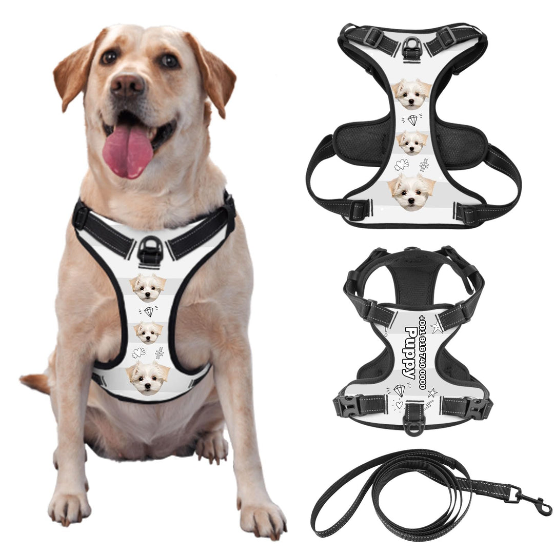 Individuelle Hundegeschir mit Foto und Namen des Tieres, Personalisierte Verstellbare Reflektierende